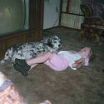 home, financing, modern, Ashley, mobile homes, manufactured homes