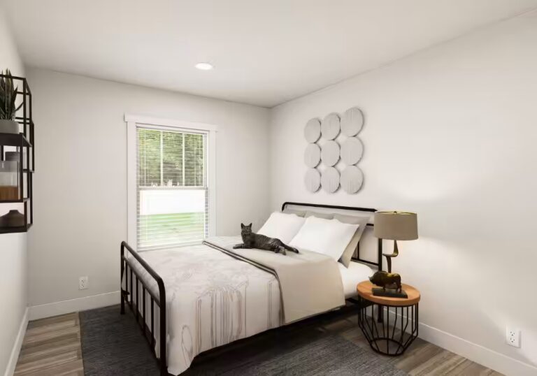 Cat lying on a white bed with black metal frame in a bright bedroom with round wall decor.