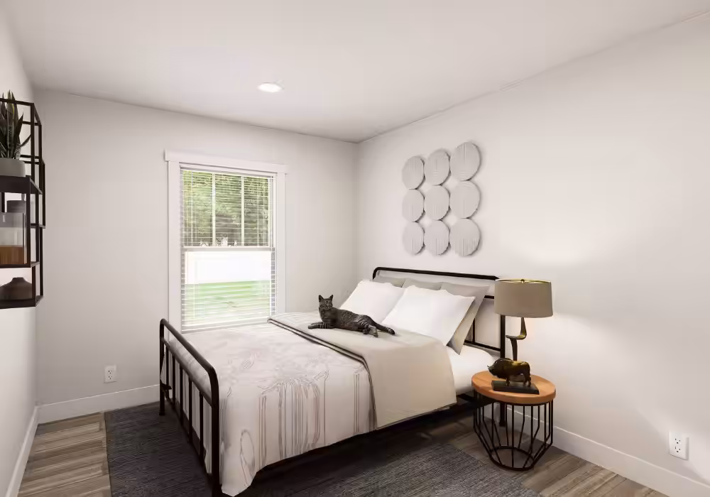Cat lying on a white bed with black metal frame in a bright bedroom with round wall decor.