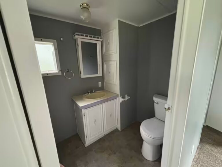 Bathroom with gray walls, white vanity cabinet, mirror, and toilet seen through an open door.
