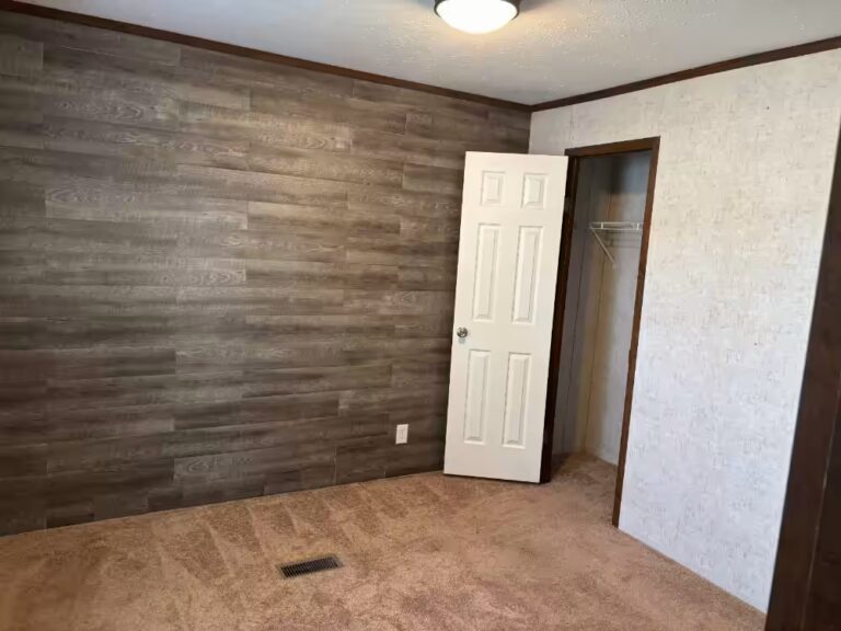 Empty room with wood-paneled wall, white door open to closet, beige carpet and ceiling light